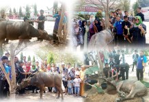 Idul Adha Momentum Belajar Sejarah dan Nilai Positifnya