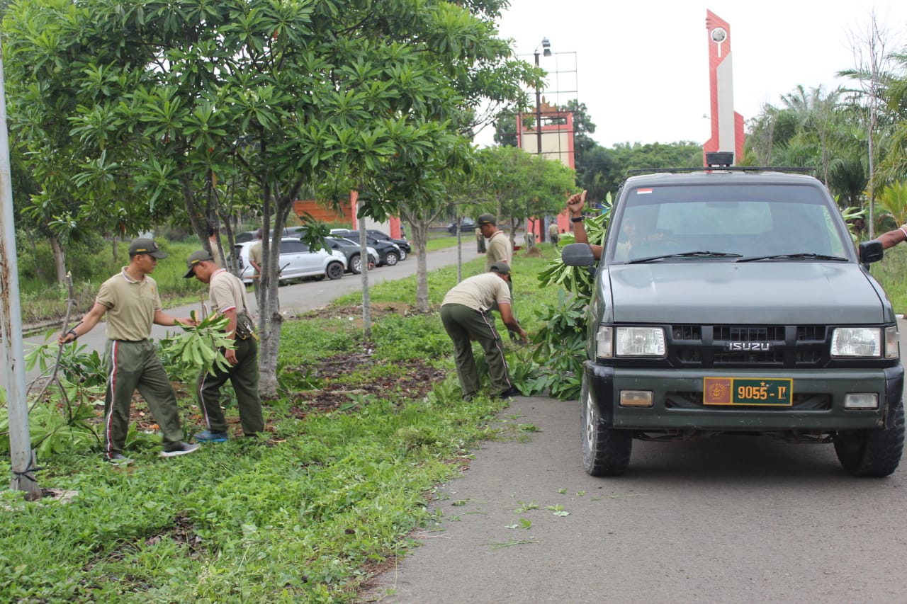 a5f7053a-1031-43f9-9302-50eaca85979b