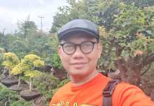 Komunikasi Politik Dalam Pandemi