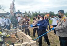 Bersama Kapolda Lampung, Nanang Ikut Musnahkan Barang Bukti Narkotika