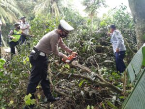 Fhoto : Pemotongan pohon oleh Kasat Lantas