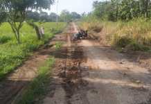 Peran Pentingnya Pemkab Tuba di Harapkan Masyarakat Pengguna Jalan Rusak