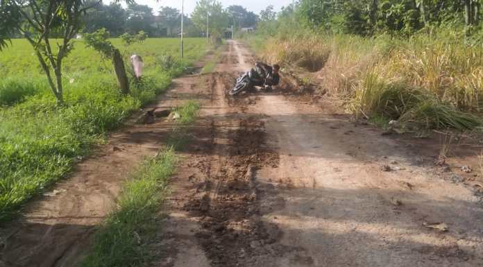 Peran Pentingnya Pemkab Tuba di Harapkan Masyarakat Pengguna Jalan Rusak