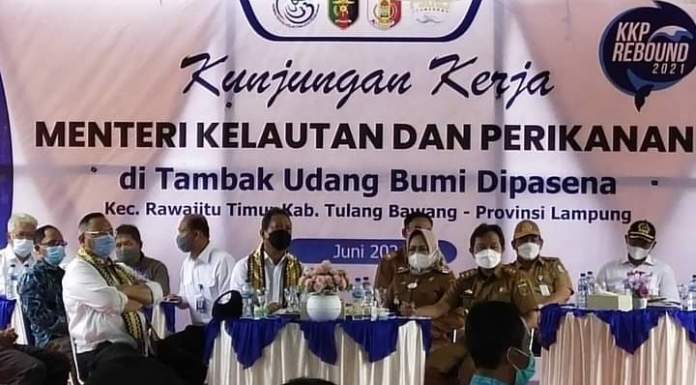 Menteri Kelautan Perikanan Sakti Wahyu Trenggono Tambak Udang Bumi Dipasena Revitalisasi Solusinya